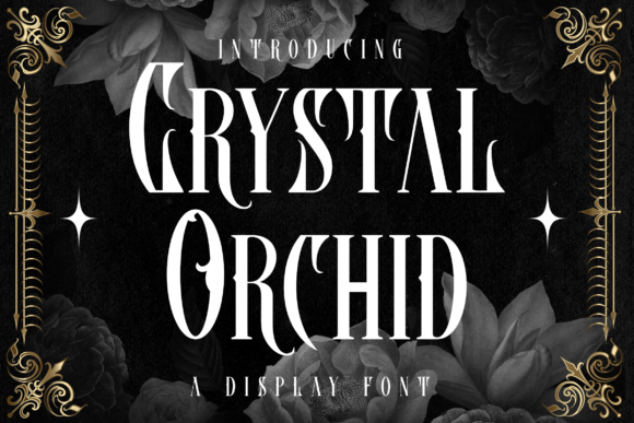 Crystal Orchid: A Refined Blackletter Font for Bold Brand Moments
