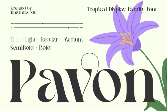 Pavon: A Modern Serif Font That Elevates Digital Branding