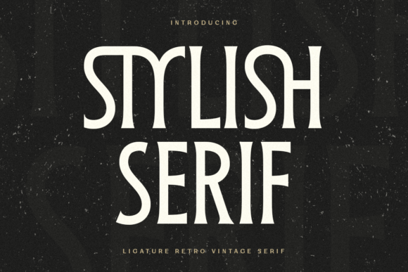 Stylish Serif: A Modern Retro Font That Elevates Real Small Business Branding