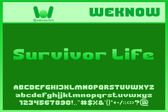 Survivor Life: A Bold Sans Serif Display Font for Real Branding